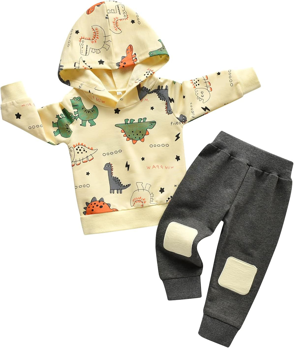 Infant Baby Boy Clothes Dinosaur Print Hoodie Tops + Pants Sweatsuit Outfits