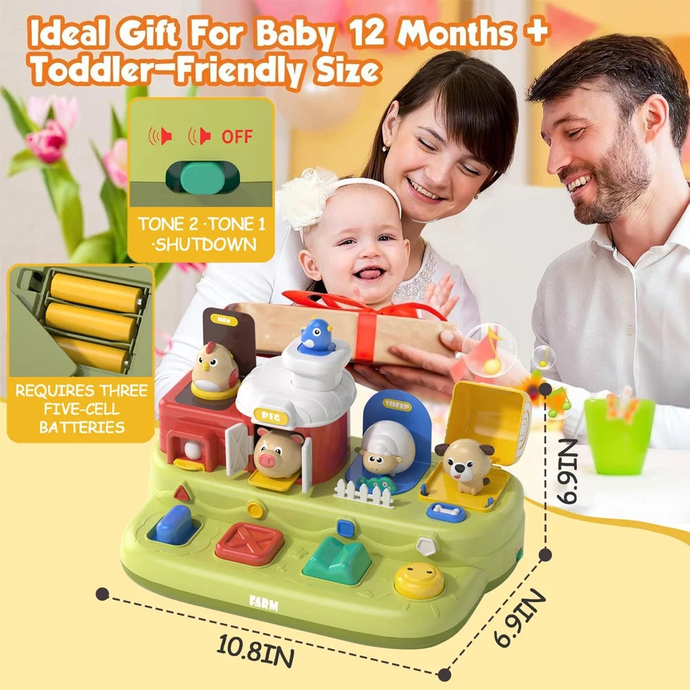 Learning Toys for 1 2 3 Year Old Boys Girls Toddlers, Cause and Effect Interactive Baby Toys for 1 Year Old, Montessori Learning Toy for Toddlers 1-3