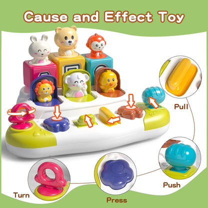 Interactive Animal Toys for Toddlers 1-3, Montessori Cause and Effect Toys for 1 Year Old Boys Girls, Toddler Boys and Girls Toys Ages 1 2 3 Year Old